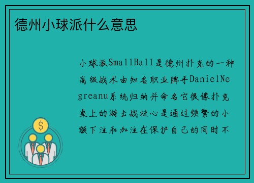 德州小球派什么意思